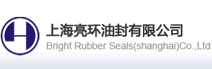 上海亮环油封有限公司