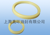 液压密封 