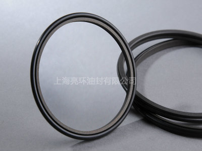 斯特封（阶梯封）