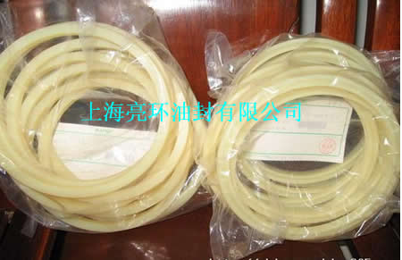 ODI型活塞专用密封圈