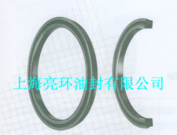 PAP活塞密封