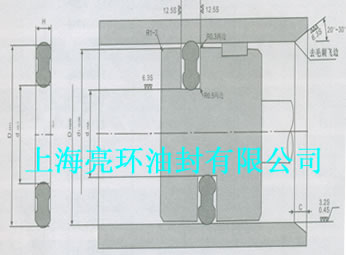 PSP活塞密封