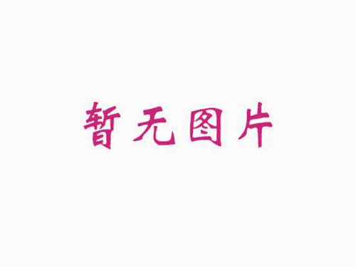 破碎锤修理包